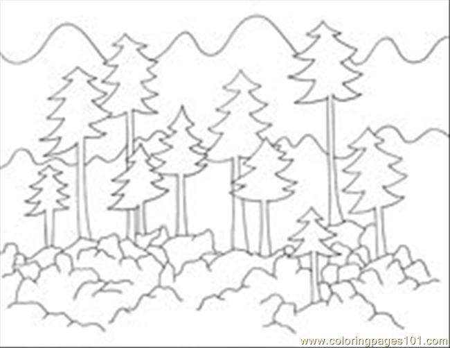 650x502 Forest Coloring Pages
