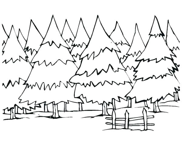 600x493 Best Forest Coloring Pages Print Coloring Pages