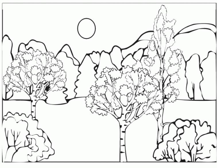 756x585 Coloring Pictures Of Forest Trees Page Image Clipart Images
