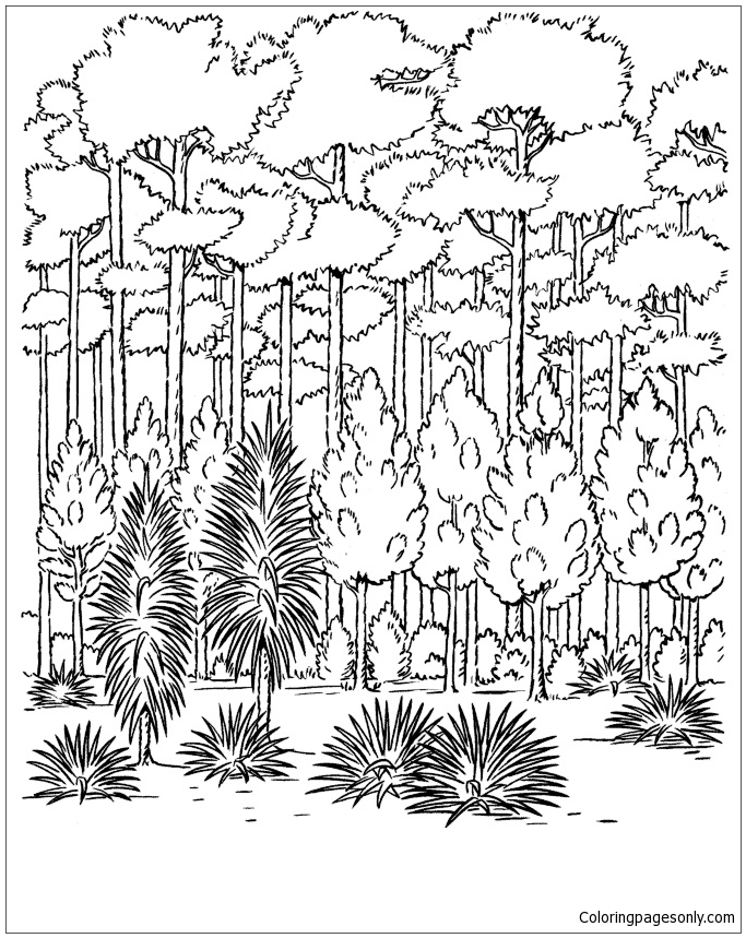 683x859 Forest Trees Coloring Page