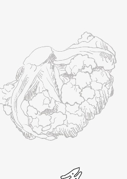 254x357 Hand Drawing, Forest, Trees, Stone Png Image For Free Download