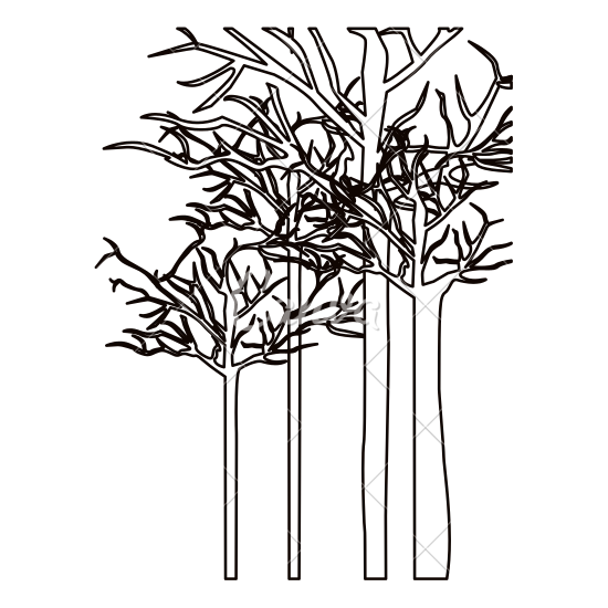 550x550 Leafless Forest Trees Icon