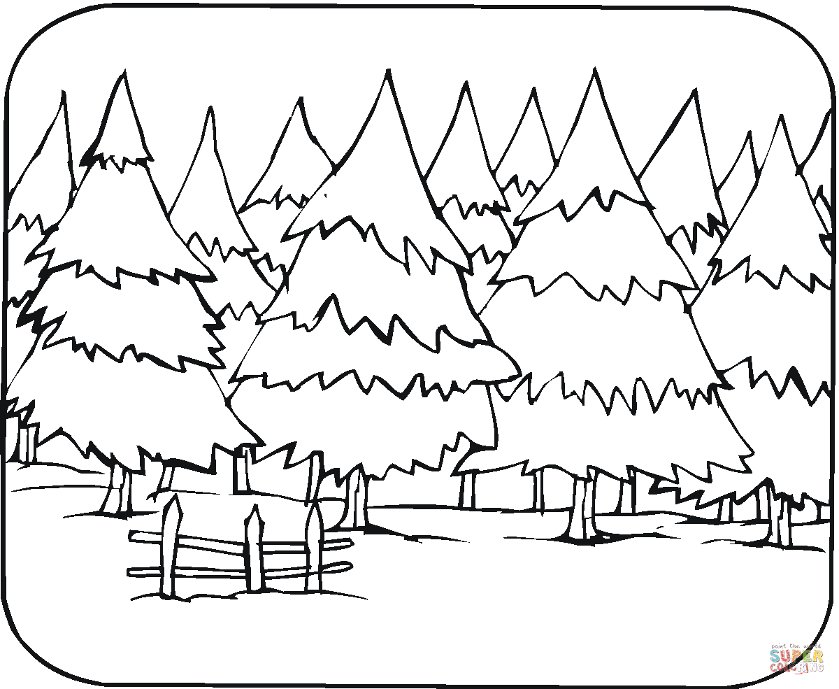1200x985 Pine Trees Coloring Page Free Printable Coloring Pages
