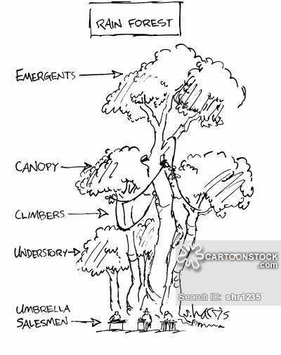 400x504 Canopy Cartoons And Comics