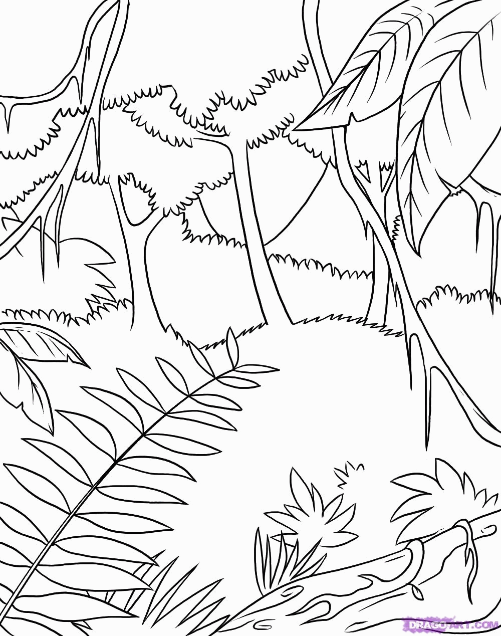 1000x1269 Rain Forest Trees Coloring Page 338398