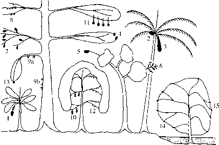 428x283 Reproductive Biology