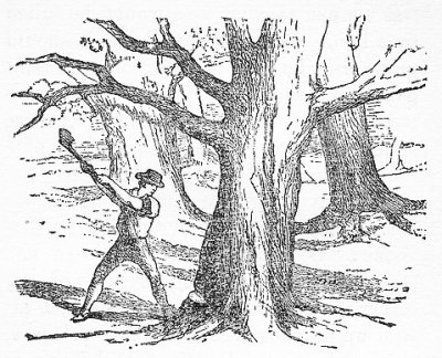 400x324 The Trees And The Axe.jpg