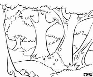 300x250 Trees Coloring Pages Printable Games