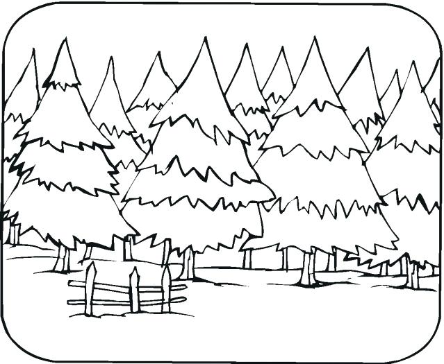 639x525 Coloring Pages Trees