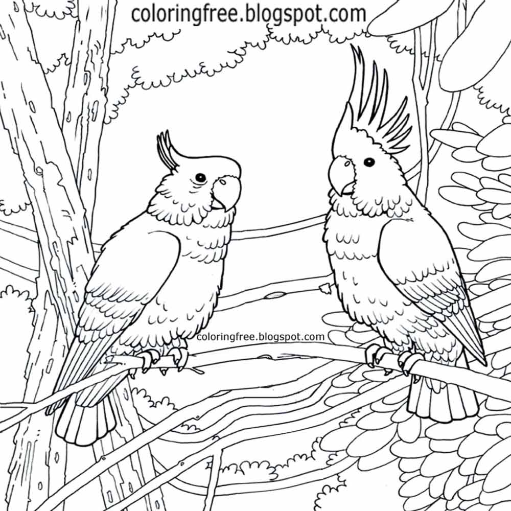 1000x1000 Free Coloring Pages Printable Pictures To Color Kids Drawing Ideas