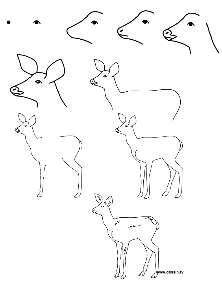 768x1024 How To Draw A Forest With Animals