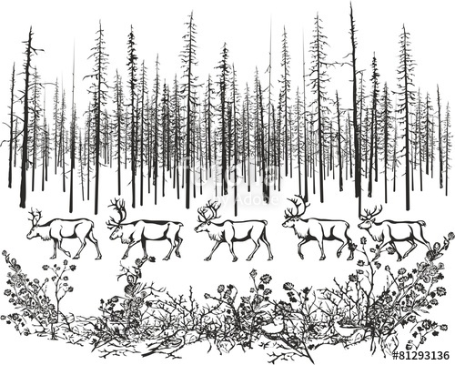 500x401 Howling Wolvesvector Image Of Two Wolves Howling In