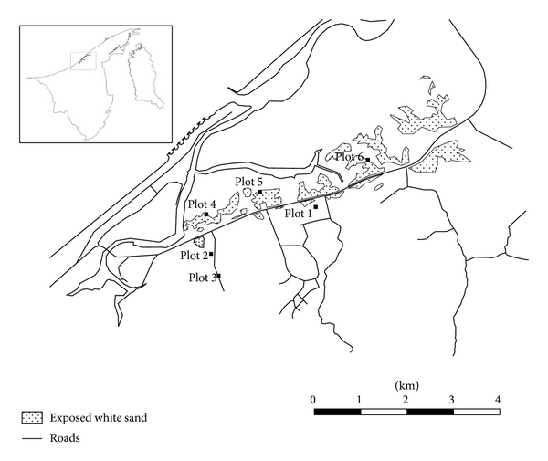 600x505 Location Of The Study Sites In Kerangas Forests Of The Tutong White