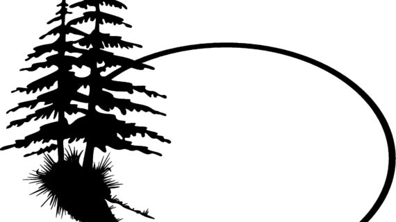 570x320 Simple Pine Tree Drawing How To Draw Forests, Forest Backgrounds