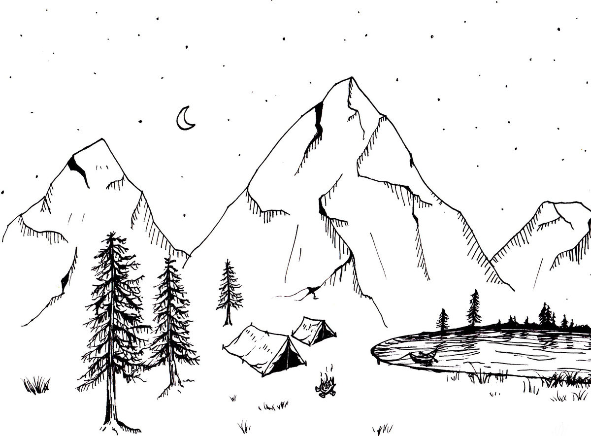 1200x885 Who Cares, Really Forests