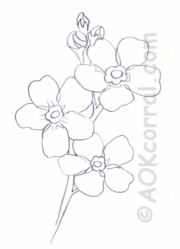 360x499 Forget Me Not Flower Pattern