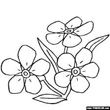 Forget Me Not Drawing at GetDrawings | Free download