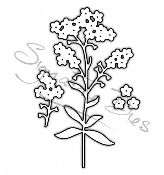 570x608 Signature Dies