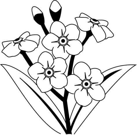 474x467 Forget Me Not Flowers Clipart