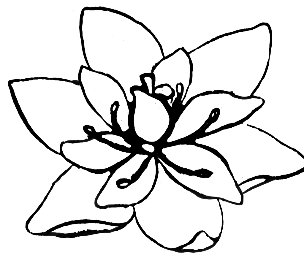 1024x859 Flower Clipart Etc