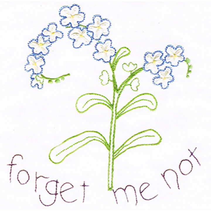 720x720 Forget Me Not