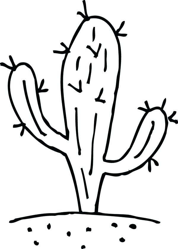 600x839 Saguaro Cactus Coloring Page Flower Coloring Pages For Official
