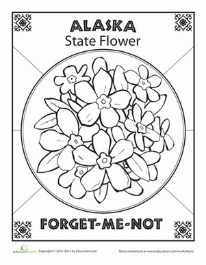301x388 Alaska State Flower Worksheet