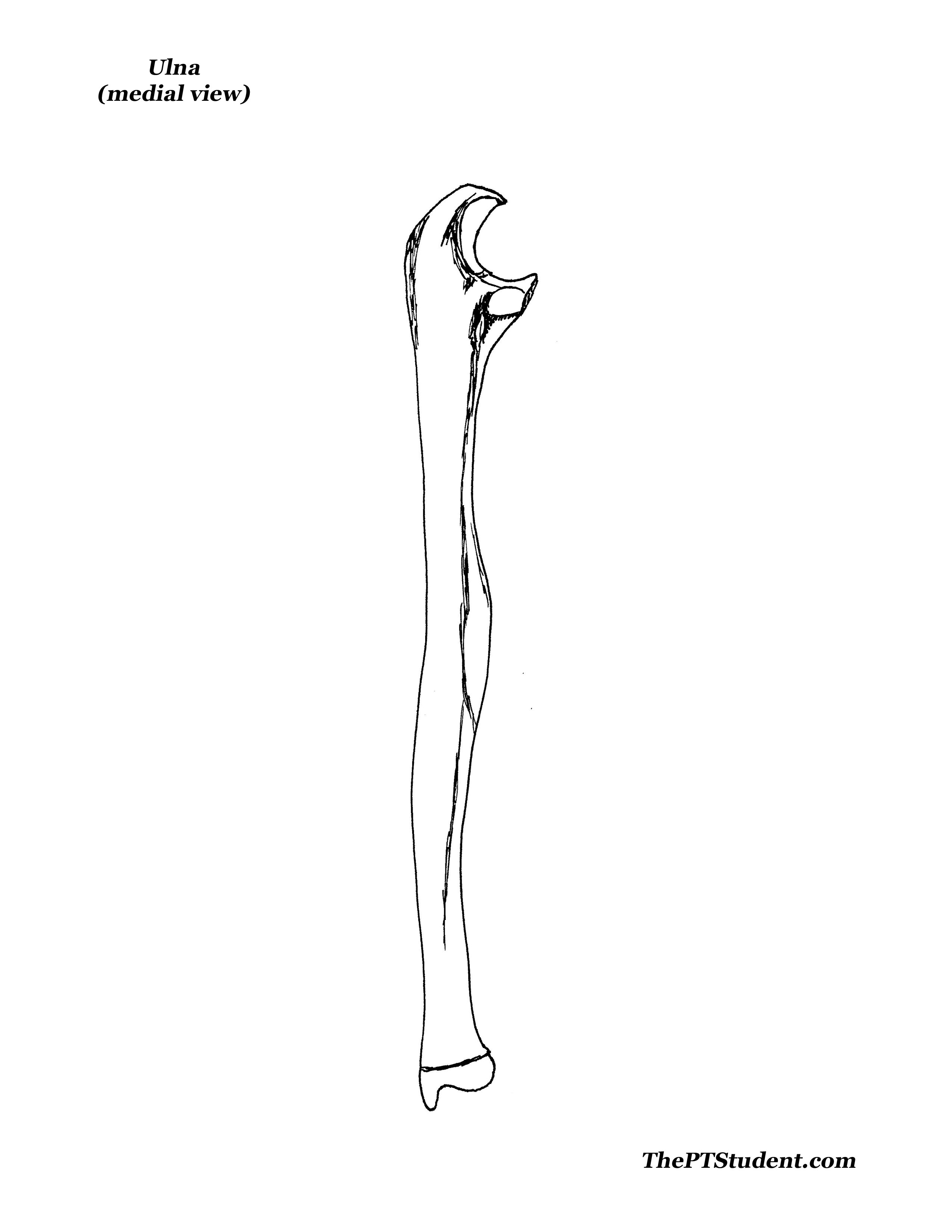 2550x3300 Federal Student Loan Forgiveness Want To Be Loan Free After 10