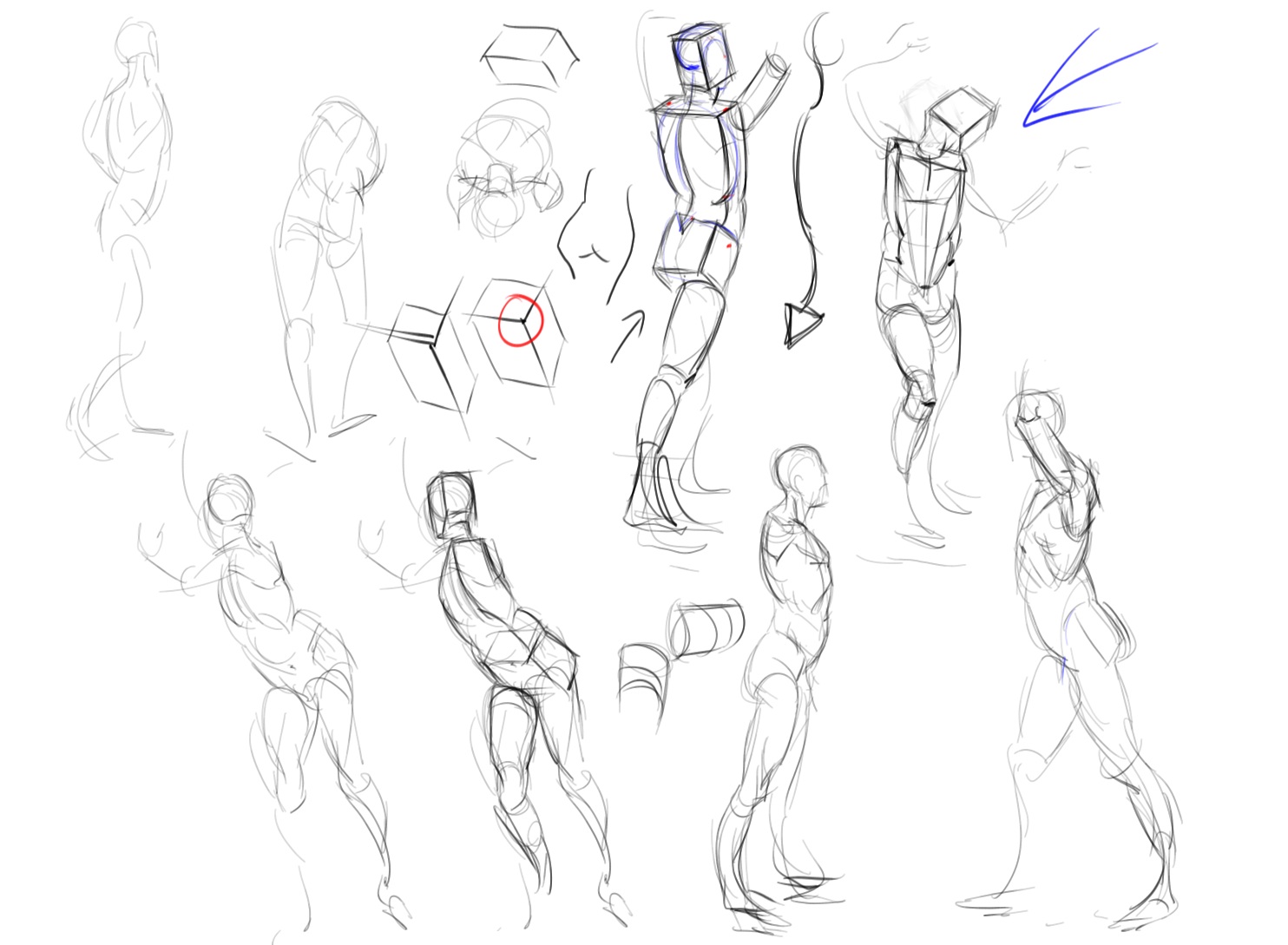 1484x1089 Drawing The Life Force Box Form Demos