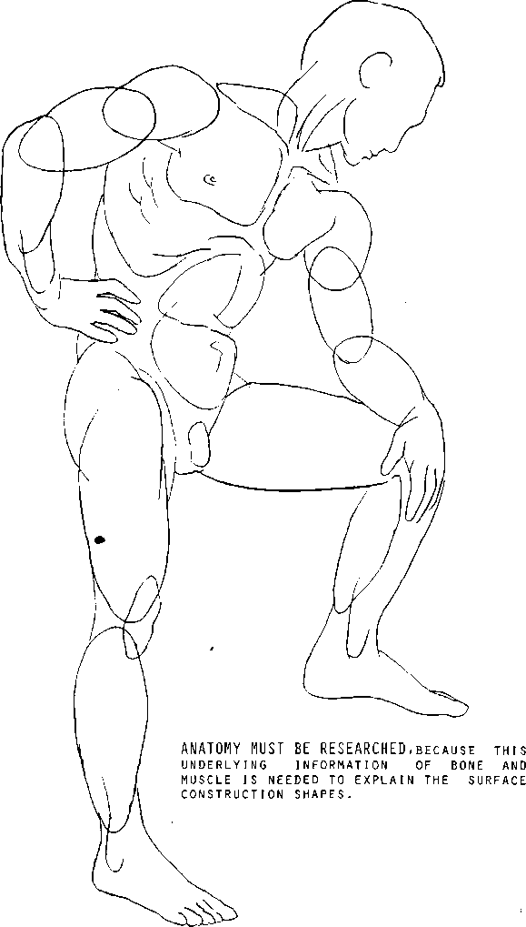 579x1019 Female Form Drawing