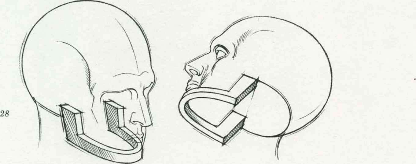 1361x539 Forms Of Skull