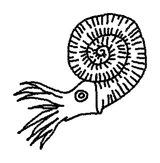 318x325 Dinosaur Fossil Drawing Clipart Panda