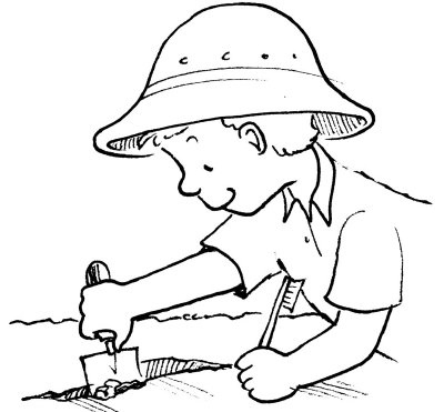 400x371 Fossil Activities For Kids Howstuffworks