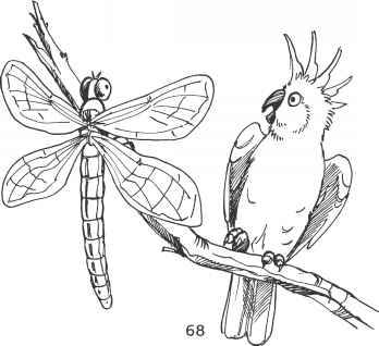 348x318 Hot Air Animals Had Conquered