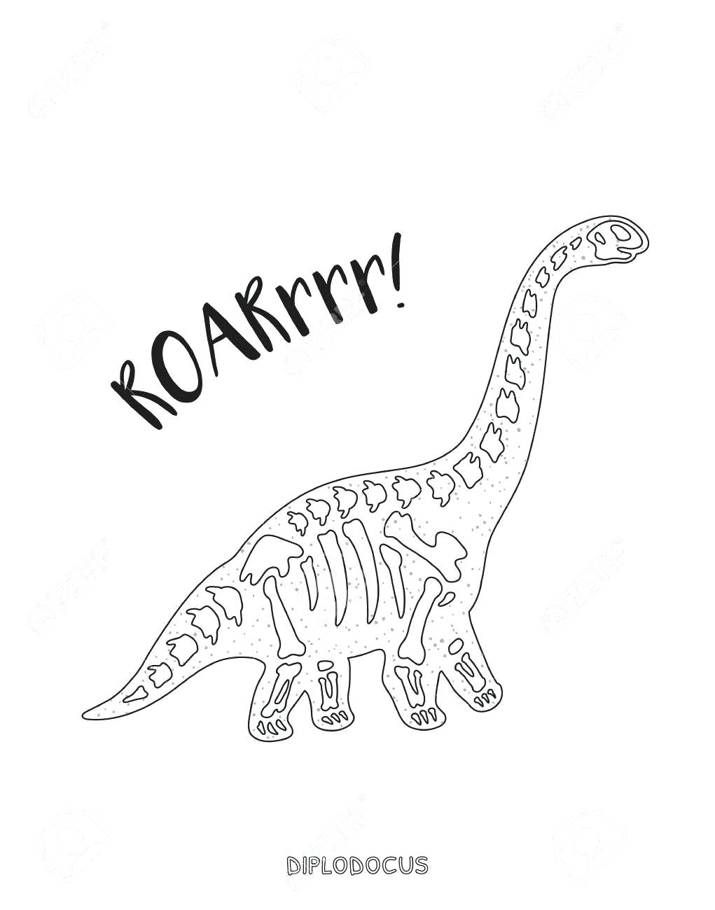 1021x1300 Coloring Diplodocus Coloring Page