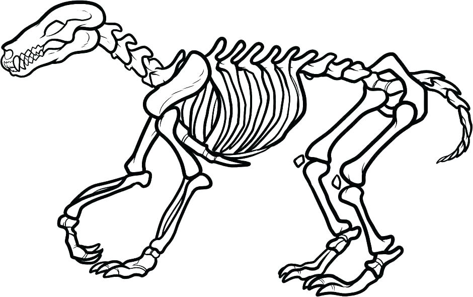 940x590 Stegosaurus Coloring Pages