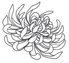 236x217 Learn To Draw Flowers Of All Kinds, From Simple Daisies To Complex