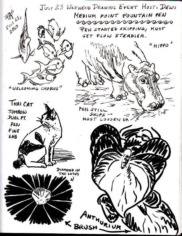 615x800 Fountain Pen Sketches