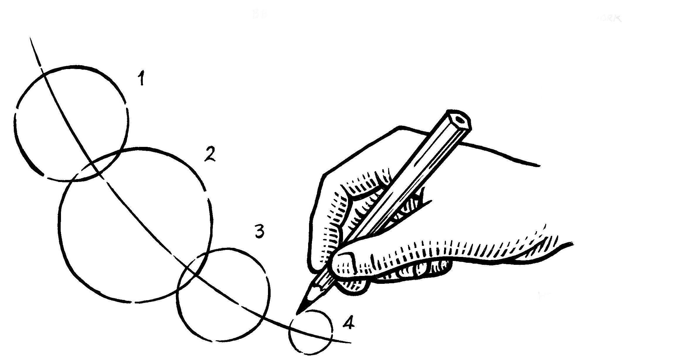 2333x1244 How To Draw A Barn Owl