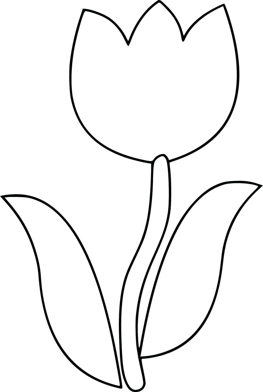 Four Leaf Clover Drawing at GetDrawings | Free download
