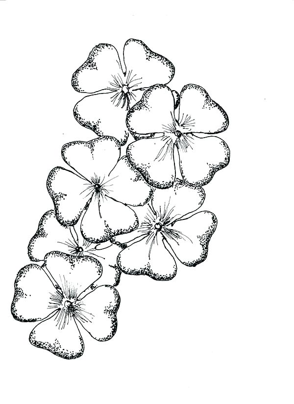 600x825 Four Leaf Clover Coloring Pages