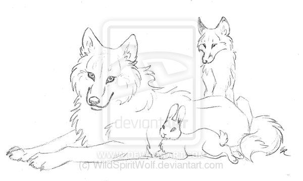 600x359 Wolf Fox Rabbit Sketch Commish By Wildspiritwolf