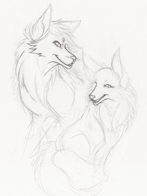 500x667 Wolf And Fox By Harumi Chan