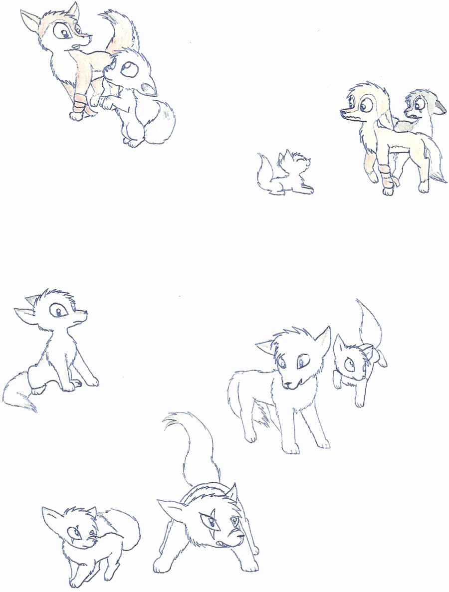 900x1187 Wolf And Fox Drawings By Spitfiresonice