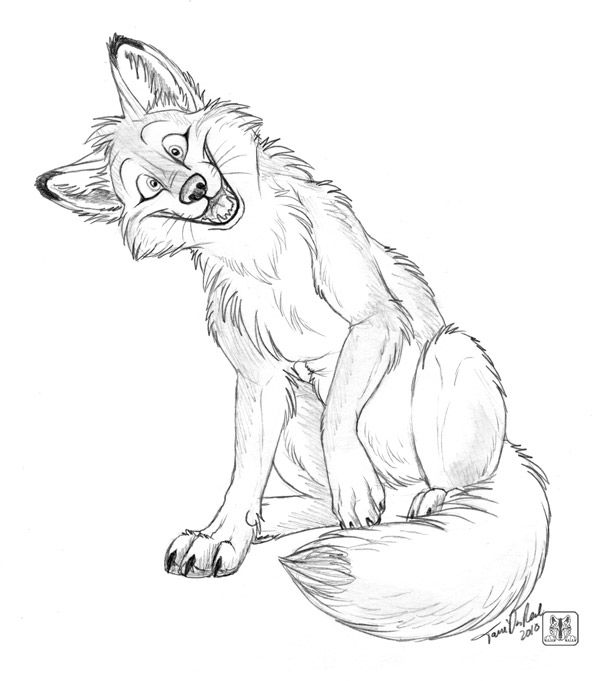 Fox And Wolf Drawing at GetDrawings | Free download