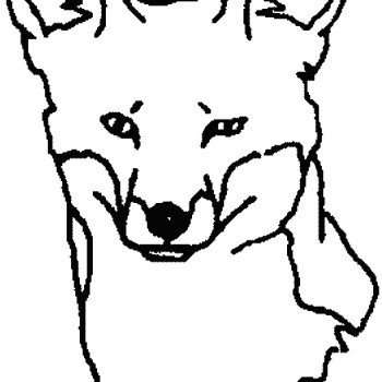 350x350 Fox Face Drawing Clipart Panda