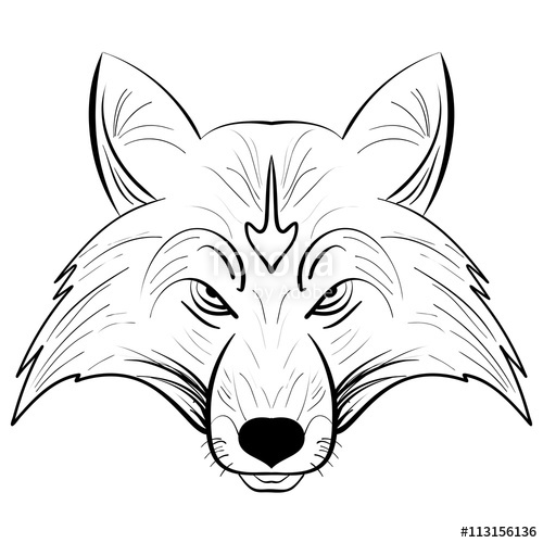 500x500 Hand Drawn Vector Fox Head.ink Sketch Fox Stock Image And Royalty
