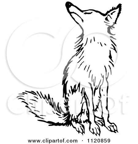 450x470 Clipart Silhouetted Fox In Black And White