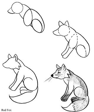319x380 Drawn Fox Line Drawing