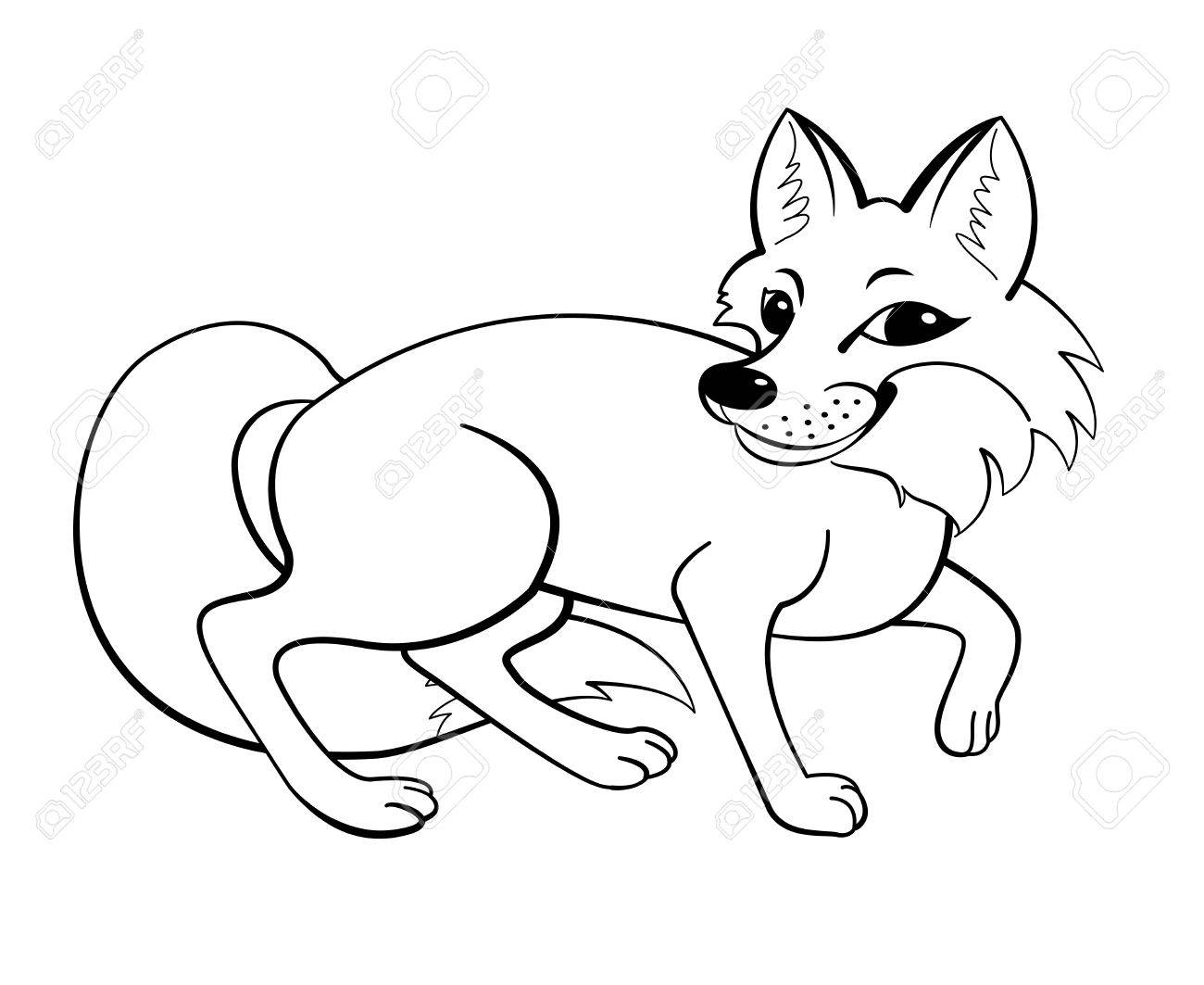 1300x1063 Vector Carton Coloring Fox. Cartoon Contour Image Of A Fox Stock
